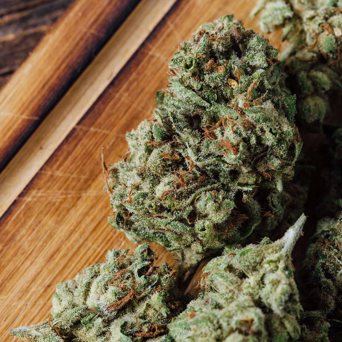 Is weed killing my gains?