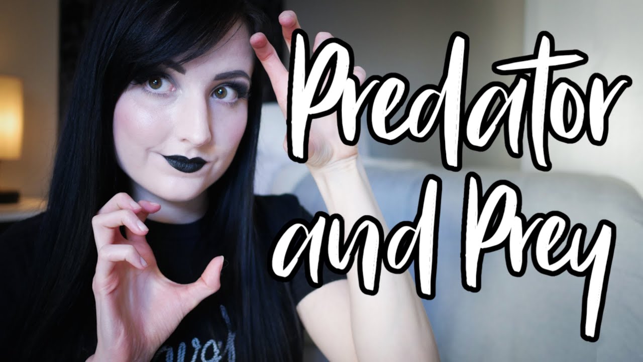 Exploring Predator/Prey Dynamics